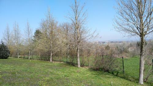 Modor Apartman