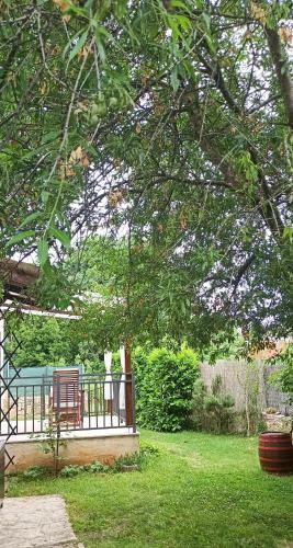 Beautiful House In Vodnjan
