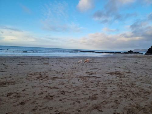 The Old Sea Captain's House, Aberporth