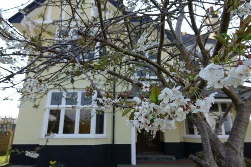 The Old Sea Captain's House, Aberporth