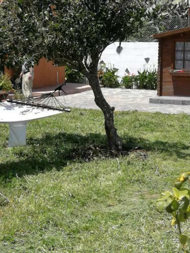 Agroturismo Casa Rural Cho Agustin