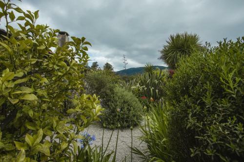 Agroturismo O Curralino
