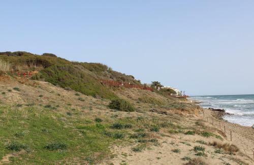 Apartamento Beach Forest Paradise