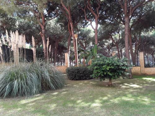 Apartamento Adoorable II Calahonda Royale .edif. Olivo
