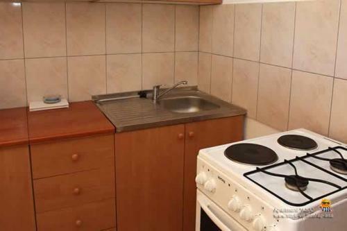 Apartamentos Villa Asa Otok Vir