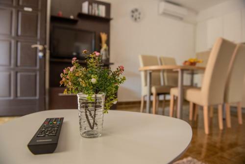 Apartman Bo?ica