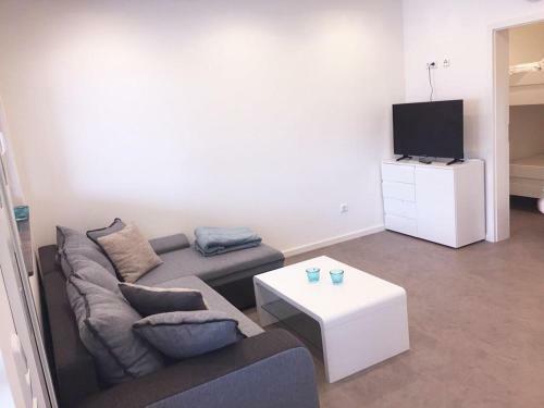 Sinisa Apartmani Vir