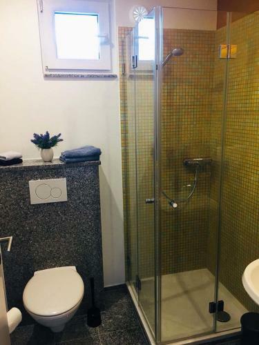 Sinisa Apartmani Vir