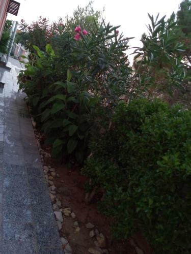Apartamento Maslina
