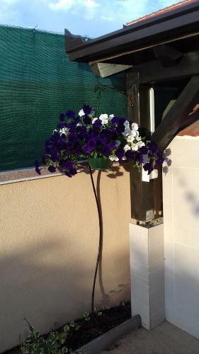 Studio Apartman Giardino