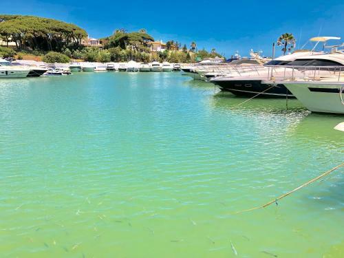 Apartamento Beachfront Penthouse Super Fast Wifi