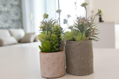 Apartamento Ag Residencial El Alamo