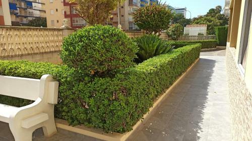 Apartamento Joyitas Gand�a Beach