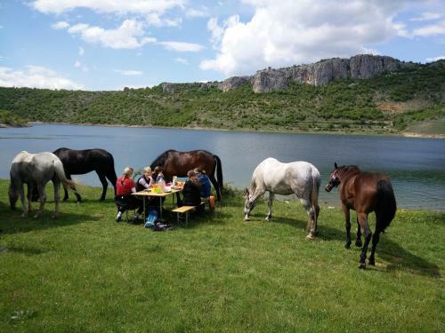 Apartments Cvitini Dvori Garjak