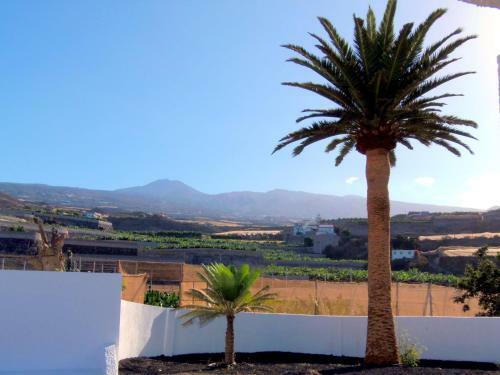 Finca La Hoya