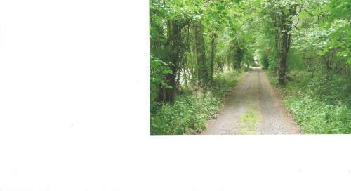 Brynhonddu Country House B&B