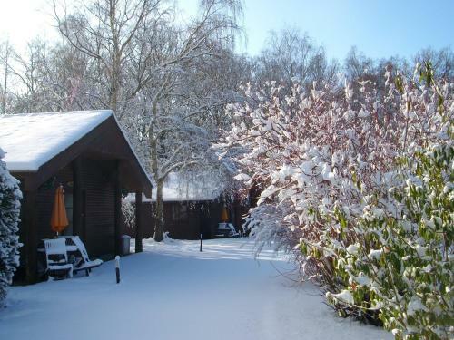 Eversleigh Woodland Lodges