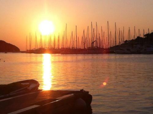 Guest House Galeb