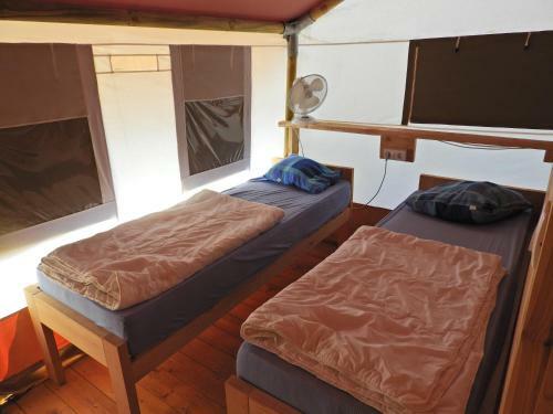Dt Lodge Tent Holiday Deluxe, Valkanela