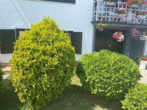 Apartamento Mia