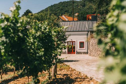 Apartamento Vill? Villa