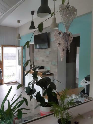 Hostal Pihi Vend�gh�z