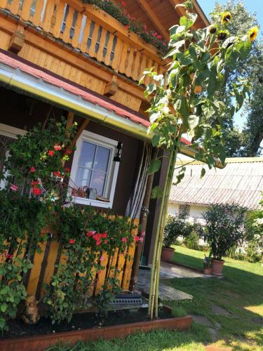 Hero 4 Sterne Ferienhaus