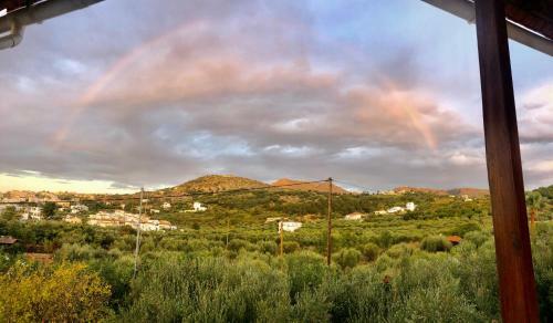 Villa The Olive Grove