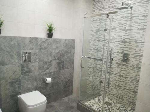 Apartment Lev Tolstoy 63