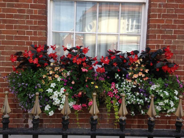 Hostal Fairlawn House