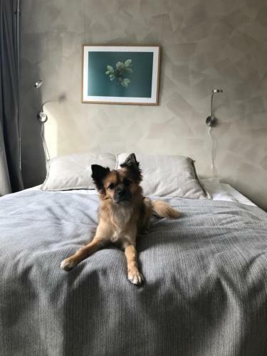 Aparthotel Noli S�rn�inen