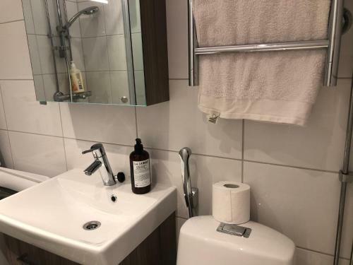 Apartamento Iso Roobertinkatu Studio