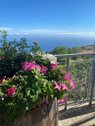 Apartamento La Casa Dei Nonni