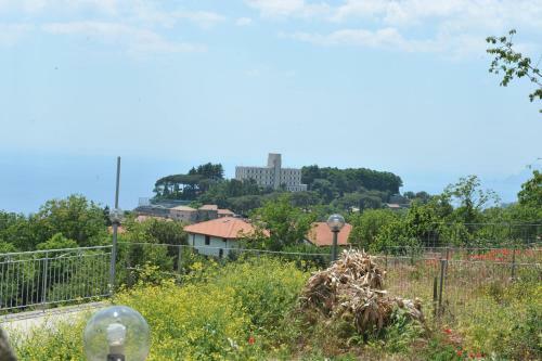 Nonno Alfonso