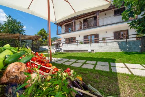 Agroturismo Il Casale Del Contadino
