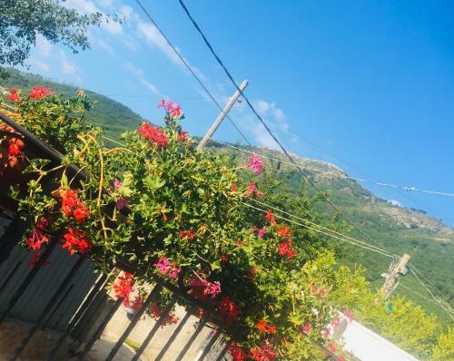 Apartamento Terra Mia