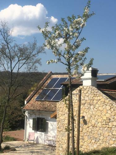 Henye Holiday Homes
