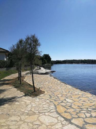 Apartmani Zara