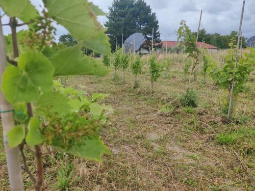 Maglebo Naturving�rd & Guest House