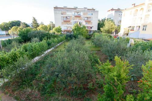 Apartment Relja