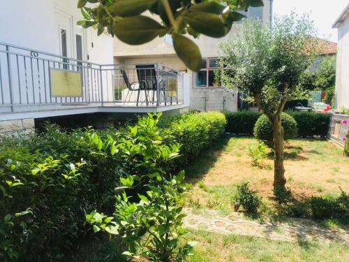 Apartamentos Bond
