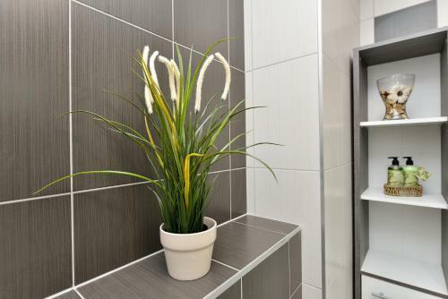 Apartment Sweet Corner