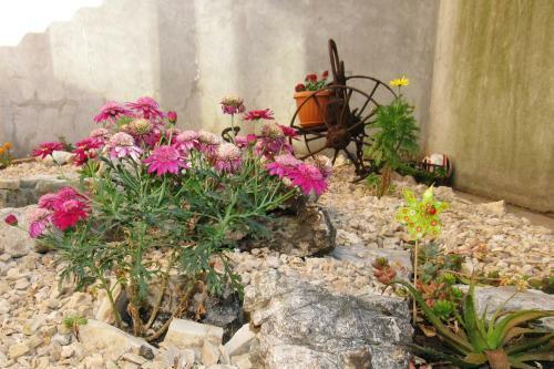 Apartamento Villa Novo