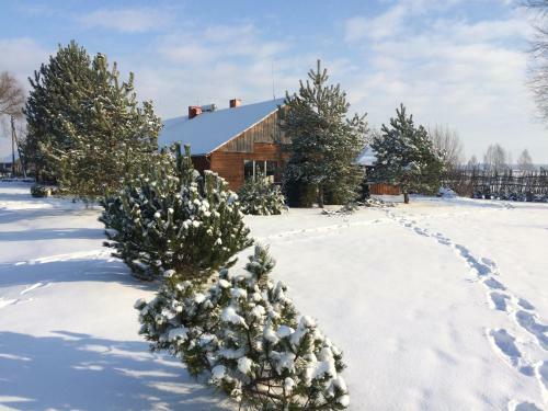 Bed & Breakfast Vytauto Bamso Sodyba
