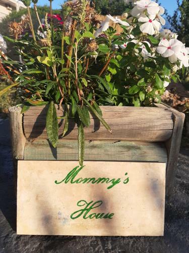 Mommy's House