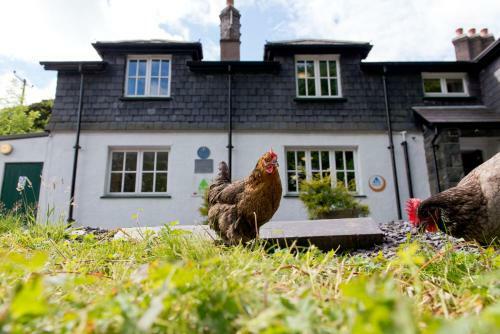 Albergue Yha Idwal Cottage
