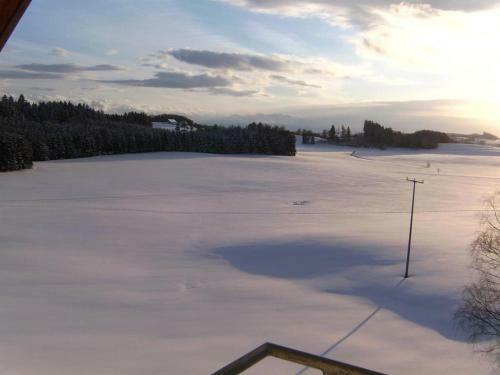 Hostal Gasthof Gr�ner Baum "kongo"