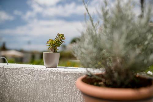 Apartman Jasmina