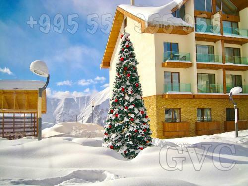 Apartamento Gvc 2-room 116 New Gudauri