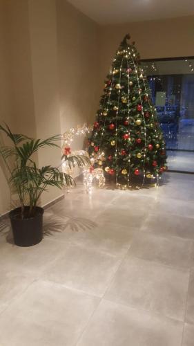Apartamento Gudauri Red-co Loft 1 - 204